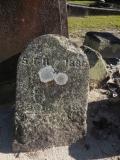 image of grave number 538707